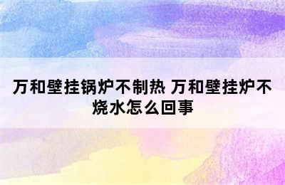 万和壁挂锅炉不制热 万和壁挂炉不烧水怎么回事